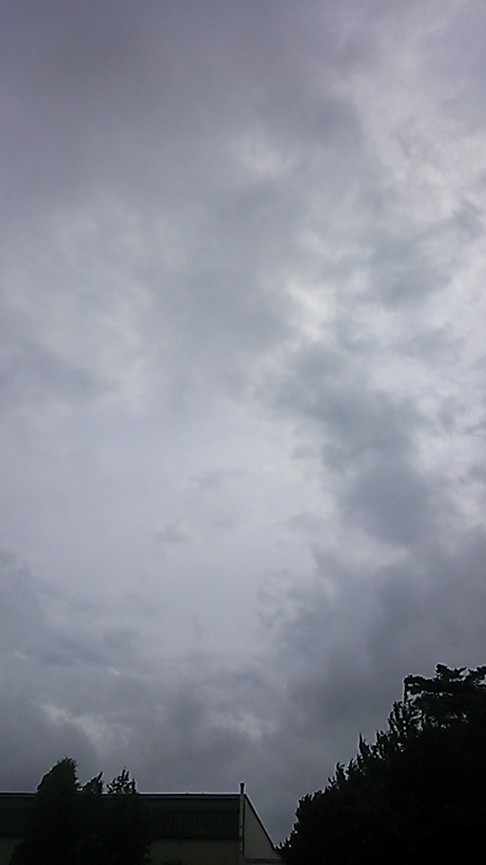 �e�l�`���b�s�[ �c�i����