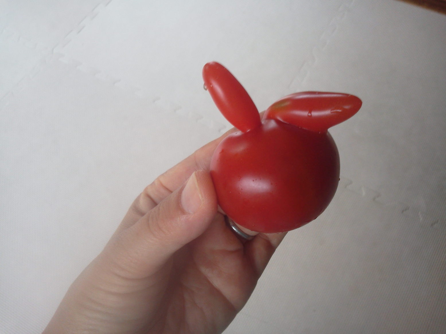 �e�l�`���b�s�[ �c�i����