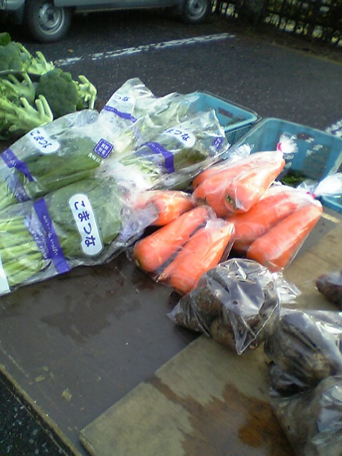 �e�l�`���b�s�[ �c�i����