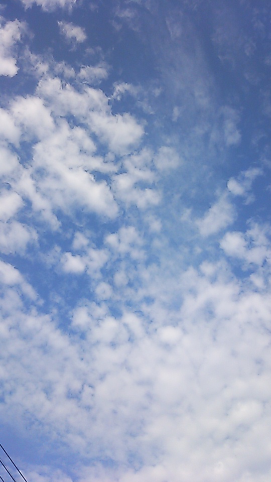 �e�l�`���b�s�[ �c�i����