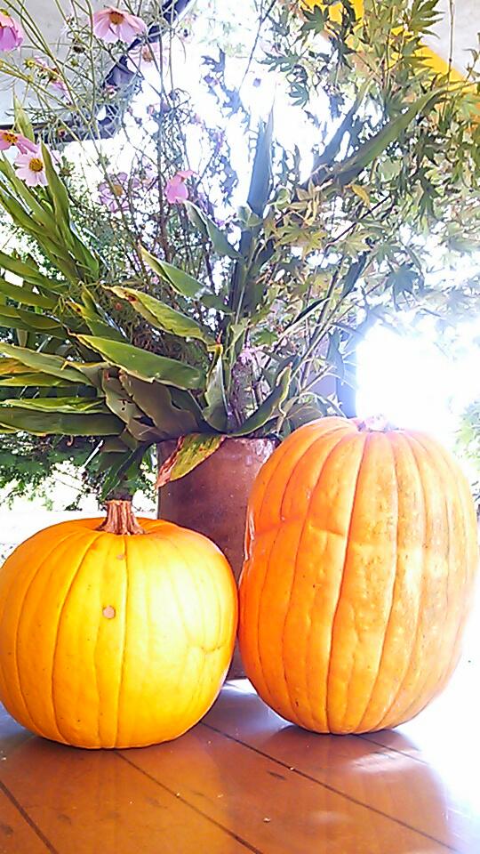 �e�l�`���b�s�[ �c�i����