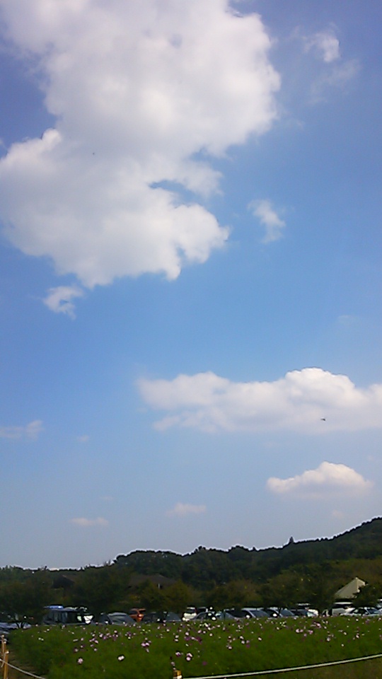 �e�l�`���b�s�[ �c�i����