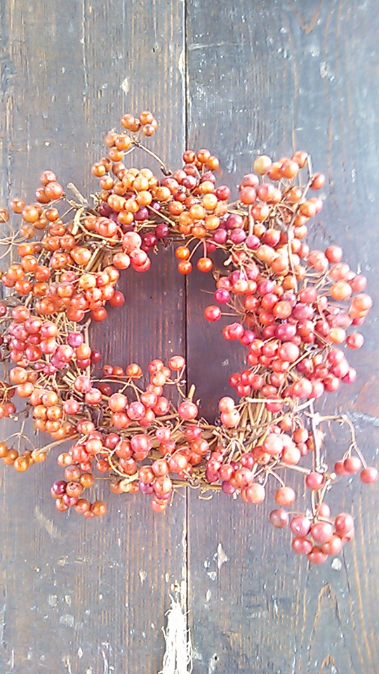 �e�l�`���b�s�[ �c�i����