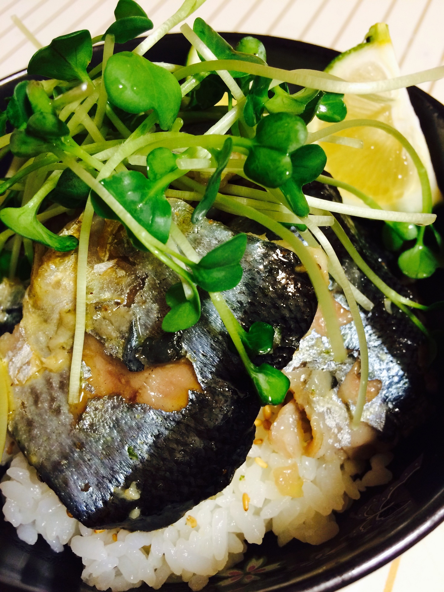 �e�l�`���b�s�[ �c�i����