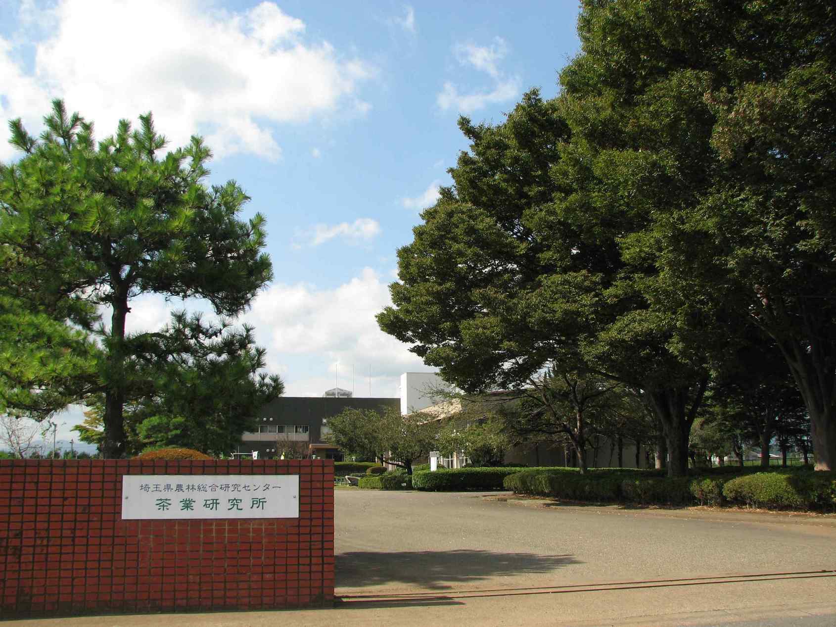 �e�l�`���b�s�[ �c�i����