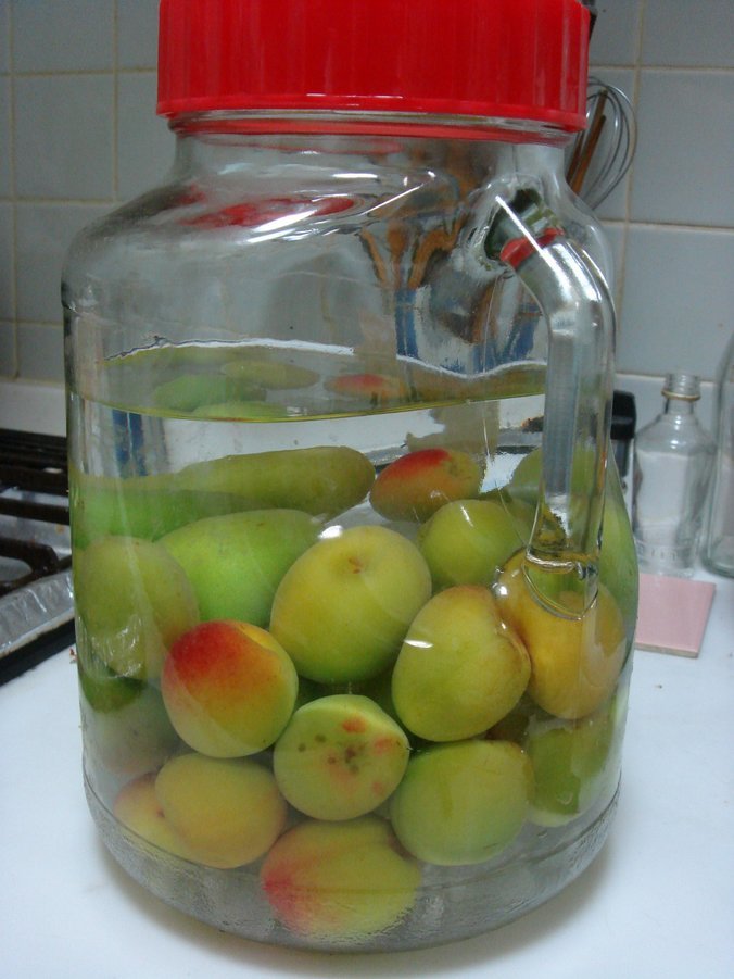 �e�l�`���b�s�[ �c�i����