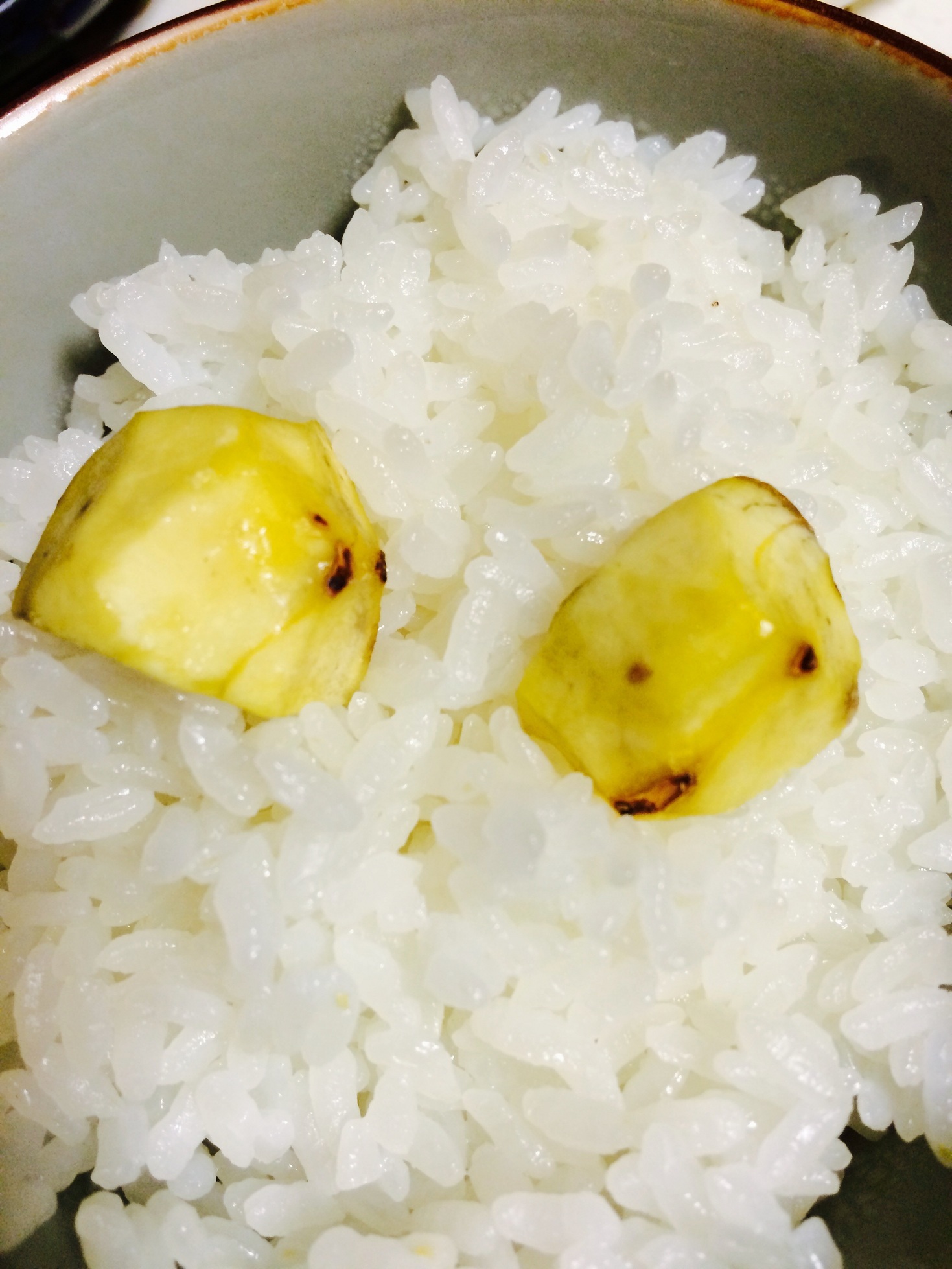 �e�l�`���b�s�[ �c�i����