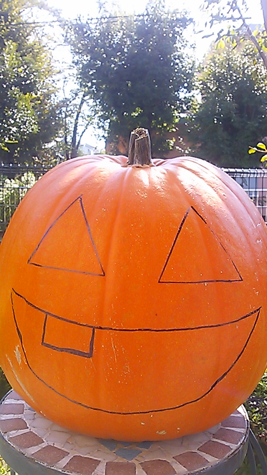 �e�l�`���b�s�[ �c�i����