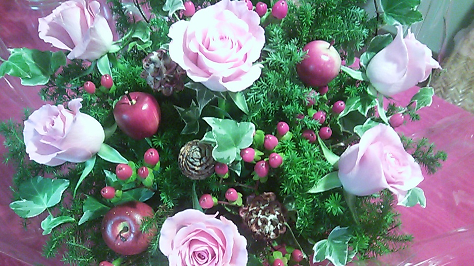 �e�l�`���b�s�[ �c�i����