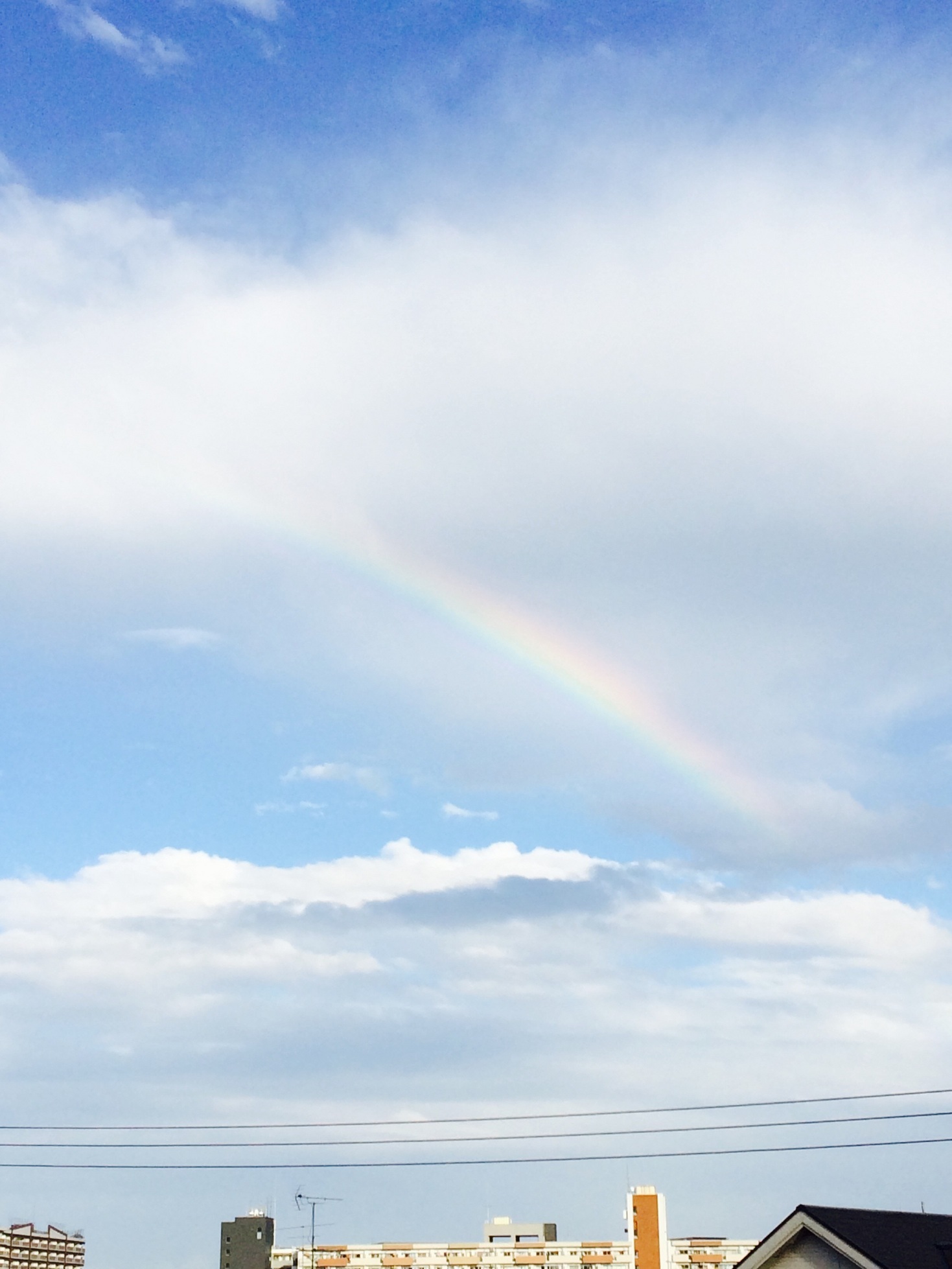 �e�l�`���b�s�[ �c�i����