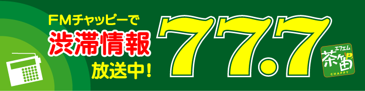 �e�l�`���b�s�[ �c�i����