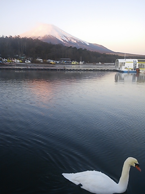 �e�l�`���b�s�[ �c�i����