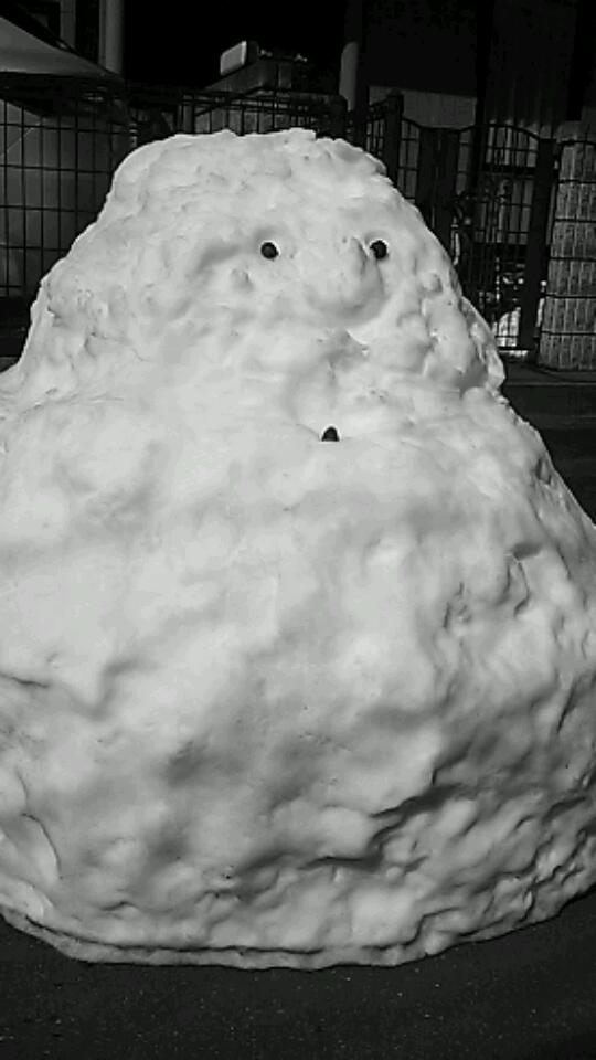 �e�l�`���b�s�[ �c�i����