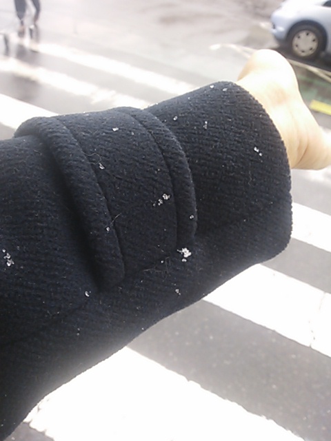 �e�l�`���b�s�[ �c�i����