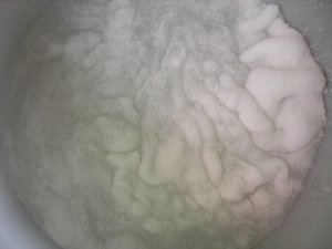 �e�l�`���b�s�[ �c�i����