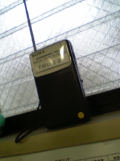 �e�l�`���b�s�[ �c�i����