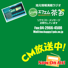 �e�l�`���b�s�[ �c�i����