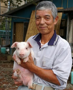 �e�l�`���b�s�[ �c�i����