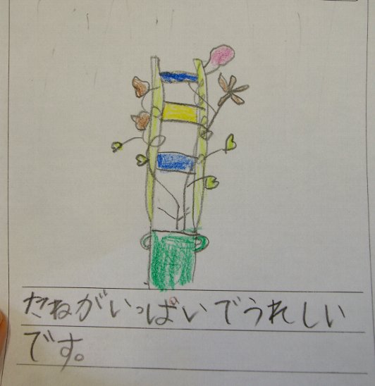 �e�l�`���b�s�[ �c�i����