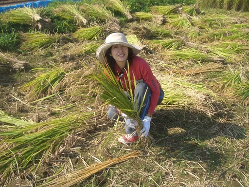 �e�l�`���b�s�[ �c�i����