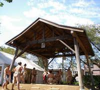 �e�l�`���b�s�[ �c�i����