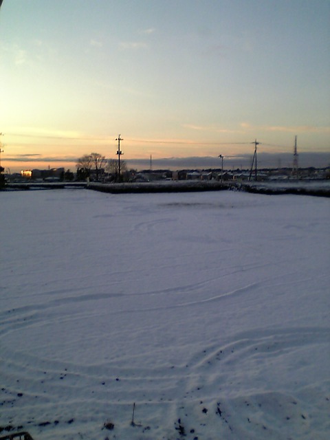 �e�l�`���b�s�[ �c�i����