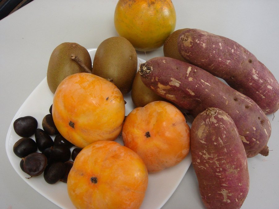 �e�l�`���b�s�[ �c�i����