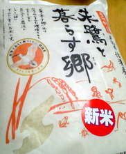 �e�l�`���b�s�[ �c�i����