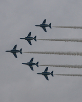 �e�l�`���b�s�[ �c�i����