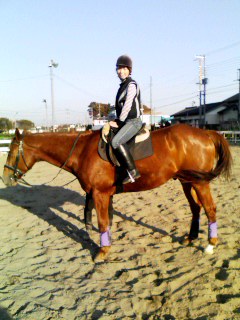 �e�l�`���b�s�[ �c�i����