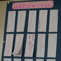 �e�l�`���b�s�[ �c�i����