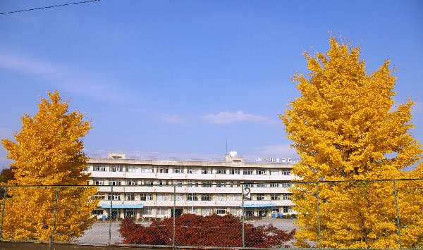 �e�l�`���b�s�[ �c�i����