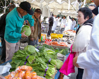 �e�l�`���b�s�[ �c�i����