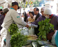 �e�l�`���b�s�[ �c�i����