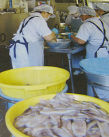 �e�l�`���b�s�[ �c�i����