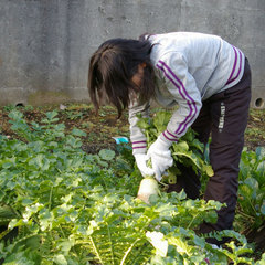 �e�l�`���b�s�[ �c�i����