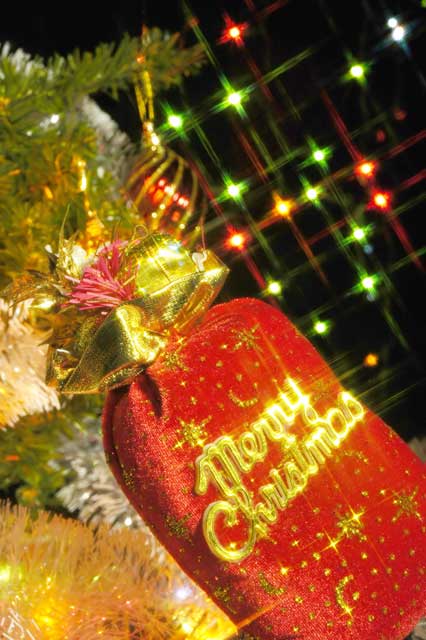 �e�l�`���b�s�[ �c�i����