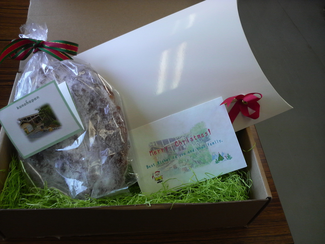 �e�l�`���b�s�[ �c�i����