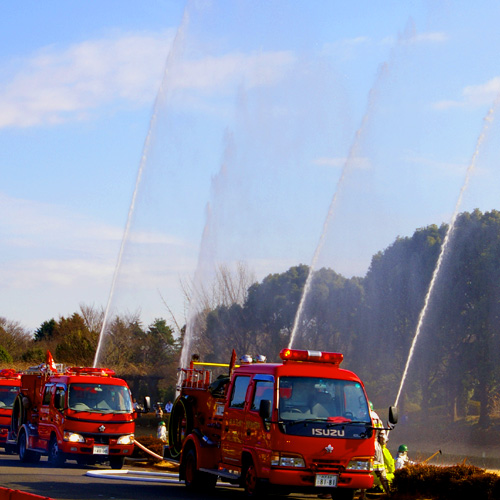 �e�l�`���b�s�[ �c�i����