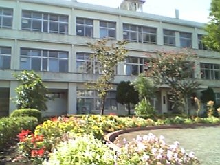 �e�l�`���b�s�[ �c�i����