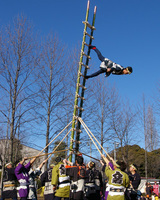 �e�l�`���b�s�[ �c�i����