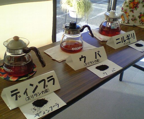 �e�l�`���b�s�[ �c�i����