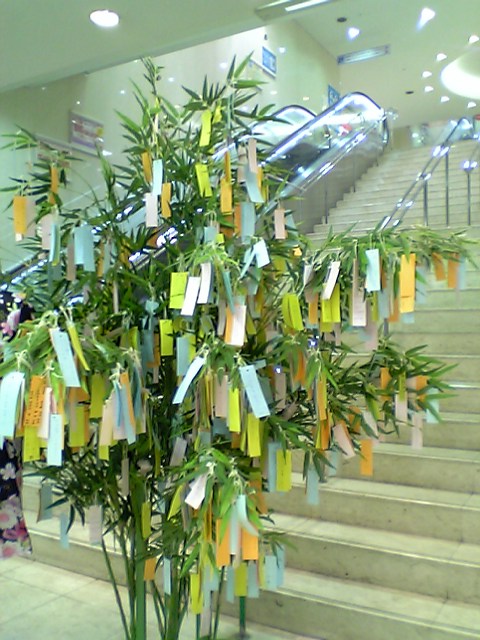 �e�l�`���b�s�[ �c�i����