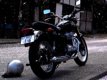 �_�u�����@�I�[�g�o�C�E���C�t