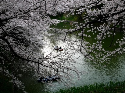 �_�u�����@�I�[�g�o�C�E���C�t