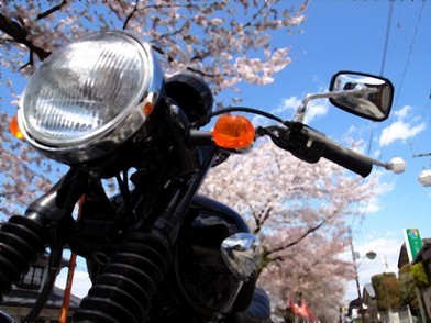 �_�u�����@�I�[�g�o�C�E���C�t