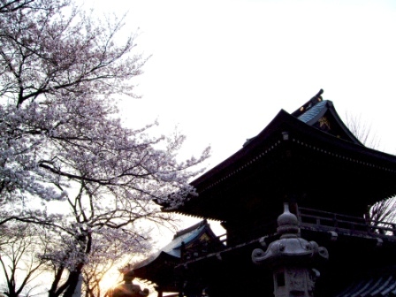 ���i�ʐ^���Ƃ낤