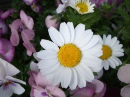 ���i�ʐ^���Ƃ낤