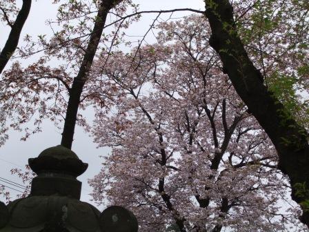 ���i�ʐ^���Ƃ낤