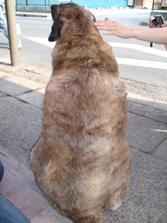 ���i�ʐ^���Ƃ낤